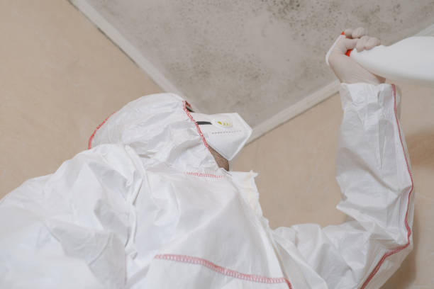Best Mold Remediation for Specific Building Types in Cheree, OK