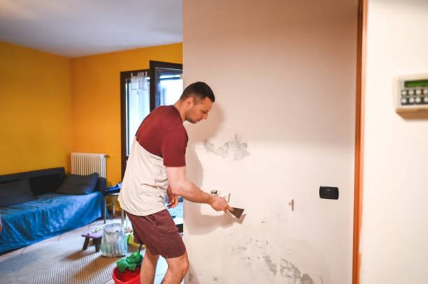 Best Post-Flood Mold Remediation in Cheree, OK