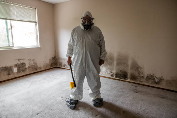 Best Residential Mold Remediation in Cheree, OK